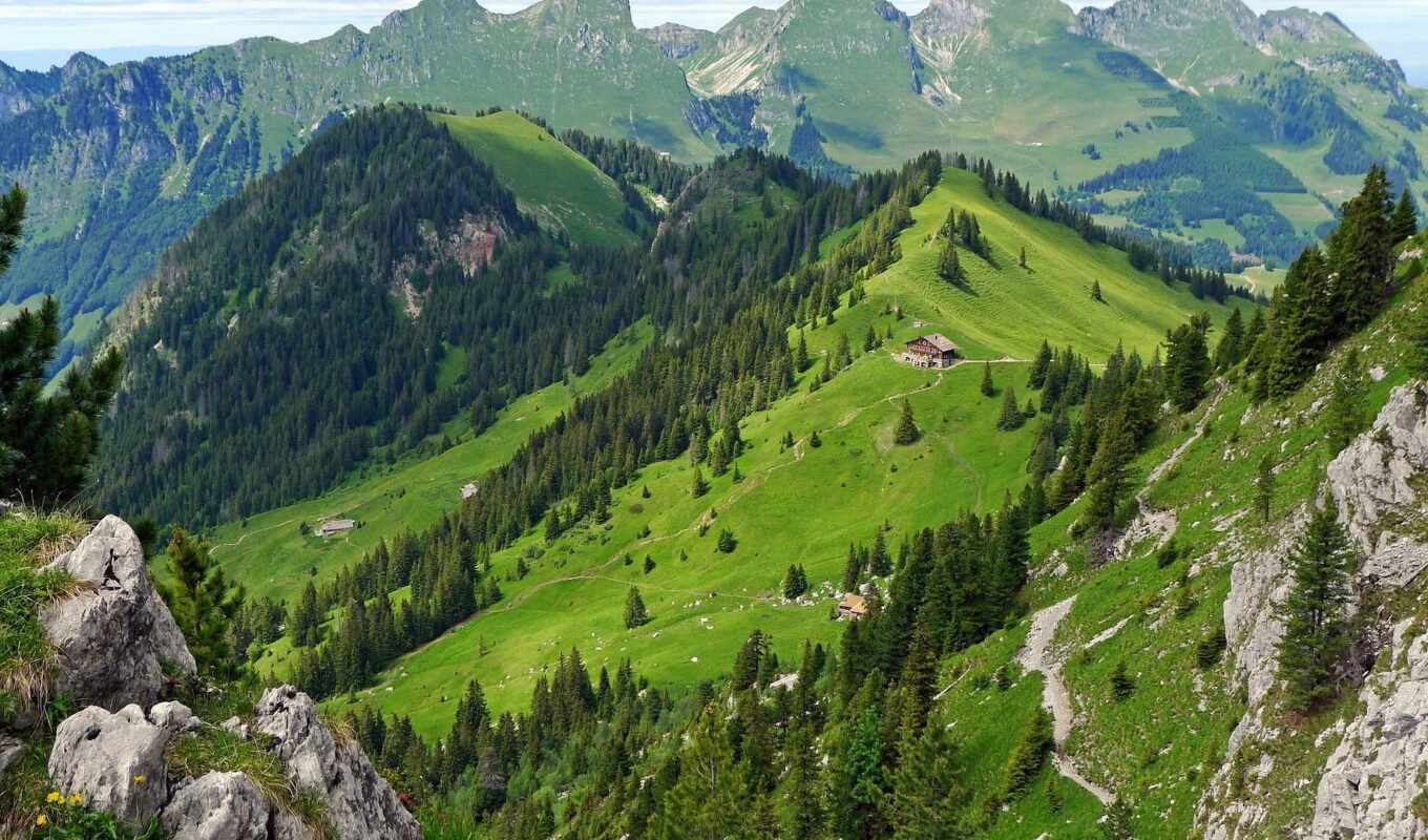 summer, forest, mountain, fond, lodge, swiss, Switzerland, photo wallpapers, gastlosen