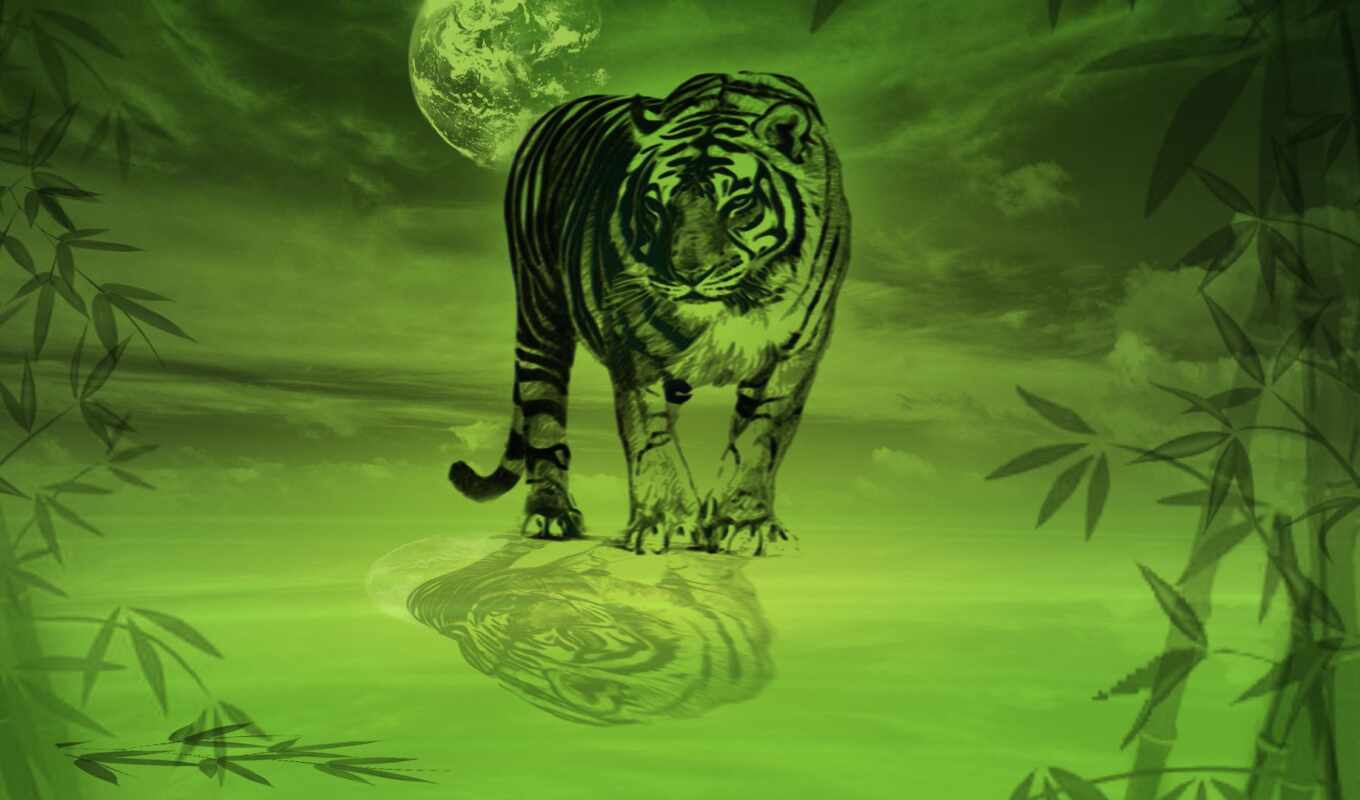 nature, paint, green, cat, big, tiger, bamboo, color, reflection