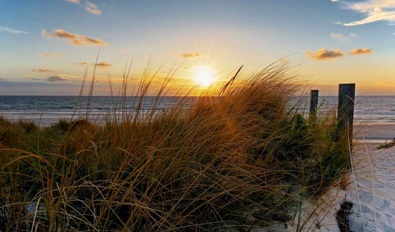 grass, sunset, the beach, Sun, promienie, morze, Beach, grasses