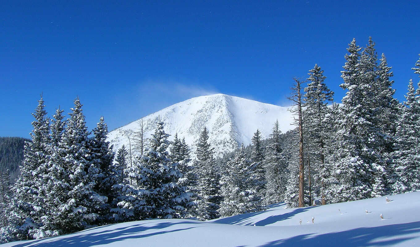 high, снег, winter, гора, landscape, trees, imagini, fundal