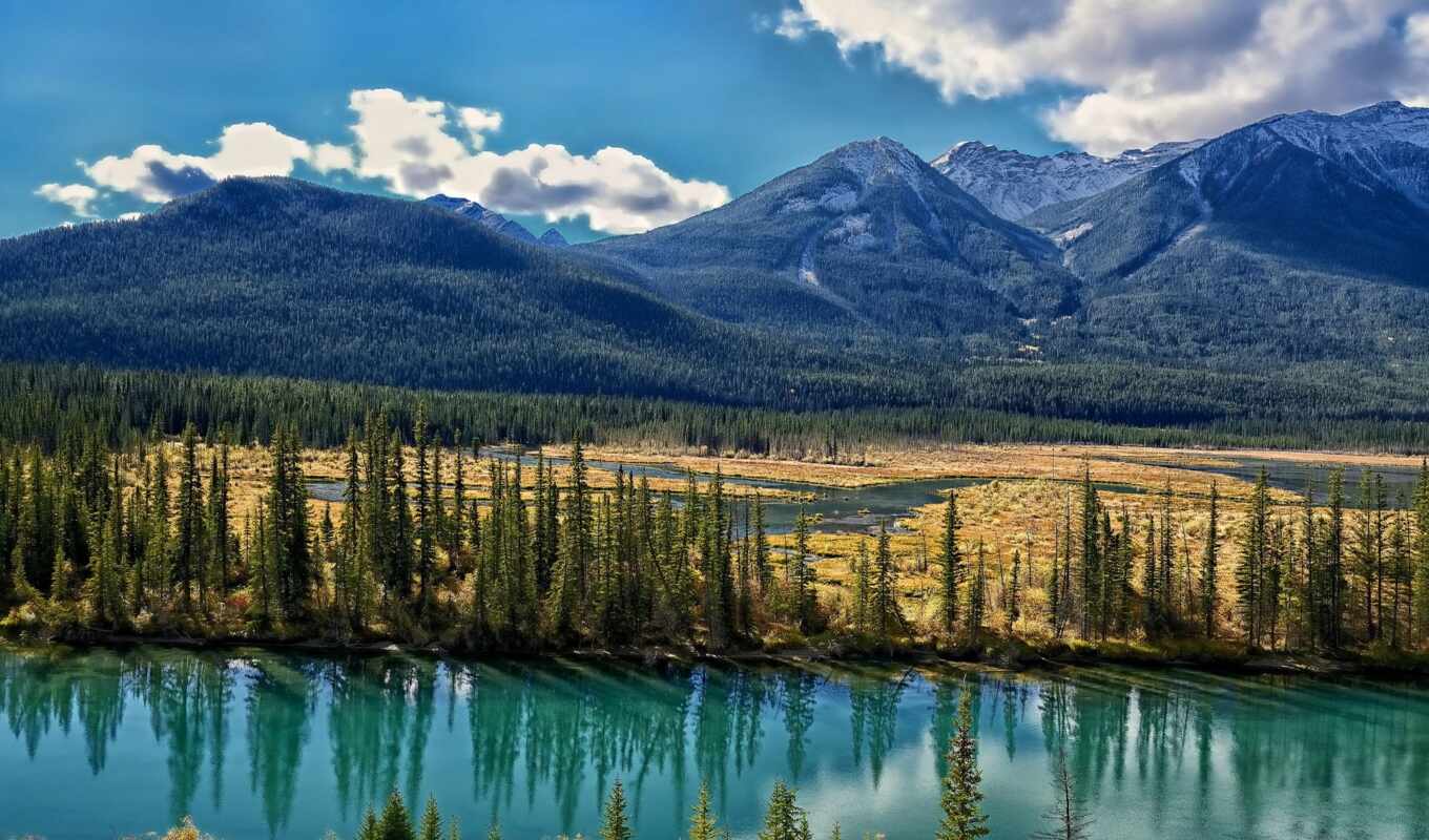 Canada, alberta, bow, river, trees, canadian, fighting, mountains