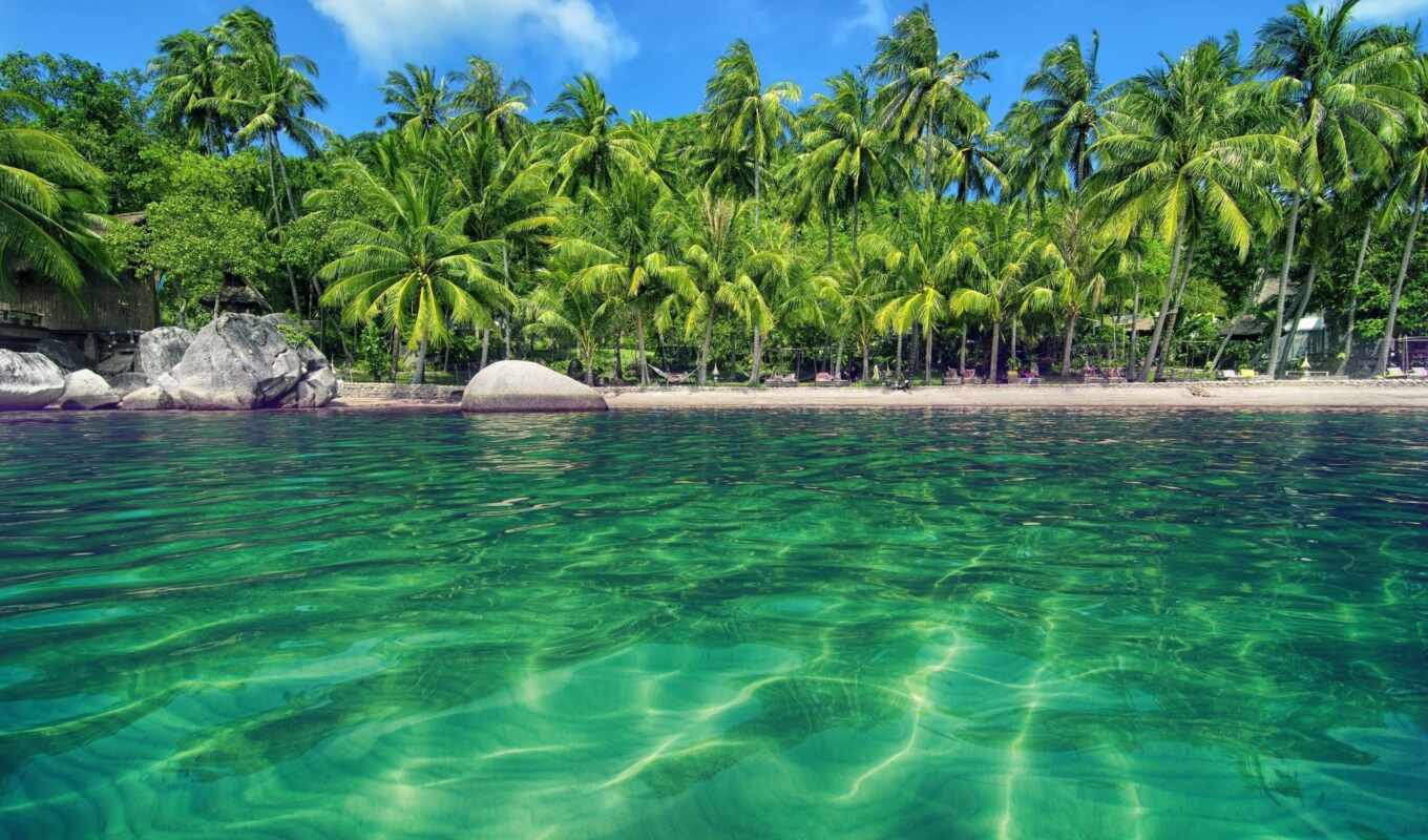 пляж, остров, большой, plan, красивый, palm, tropical, tropic, product, lagoon