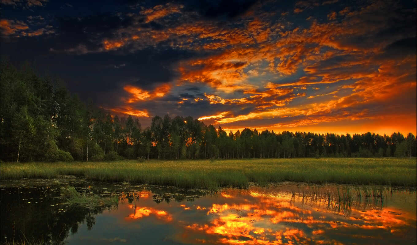 lake, nature, the clouds, forest, summer, evening, forest