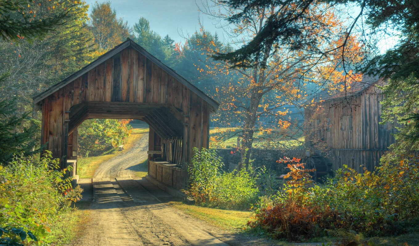 природа, лес, дорога, мост, осень, trees