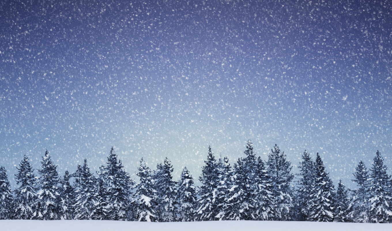 nature, snowflakes, snow, winter, forest, landscape, trees, fir, coniferous