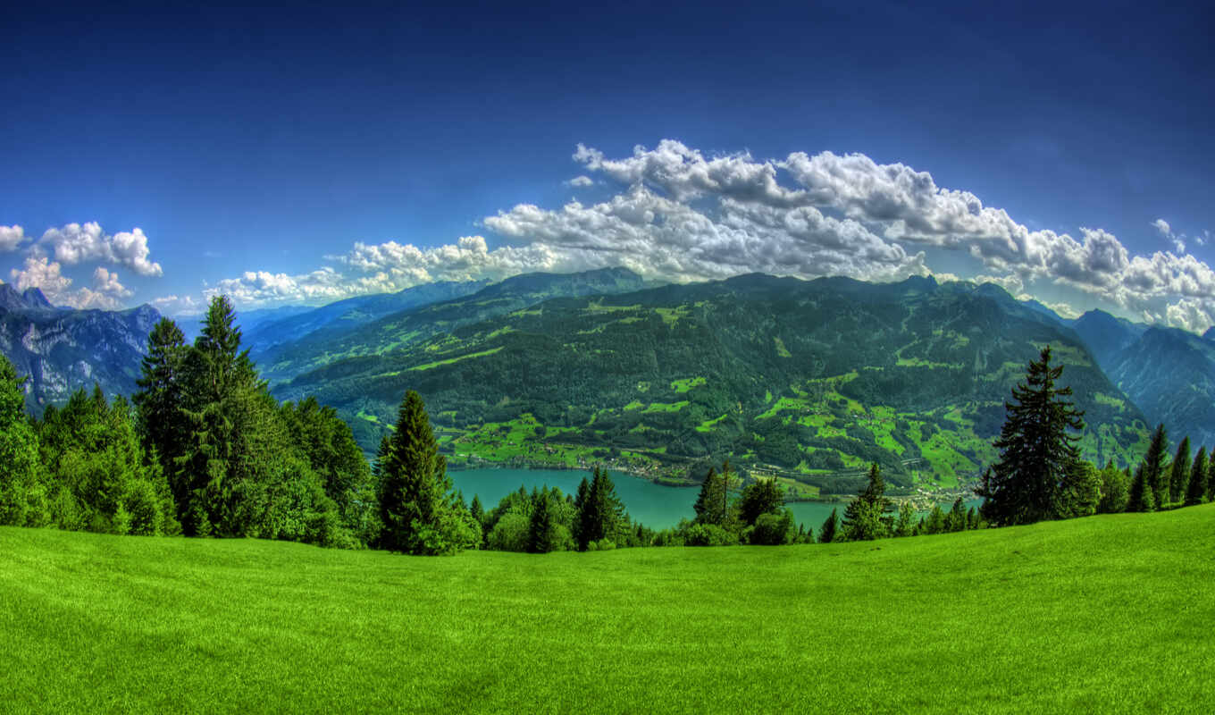 nature, mountains, lake, clouds, meadow, beautiful, day, spring, spruce