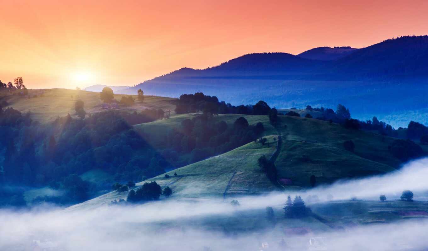 sun, sunrise, forest, field, morning, fog, mountains
