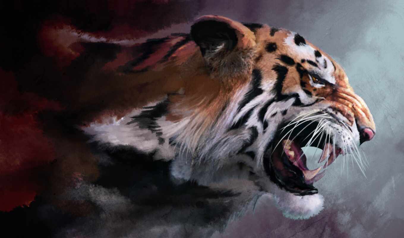 tiger, drawing