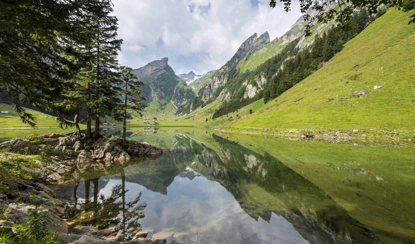 lake, forest, mountain, the alps, mountains, seealpsee