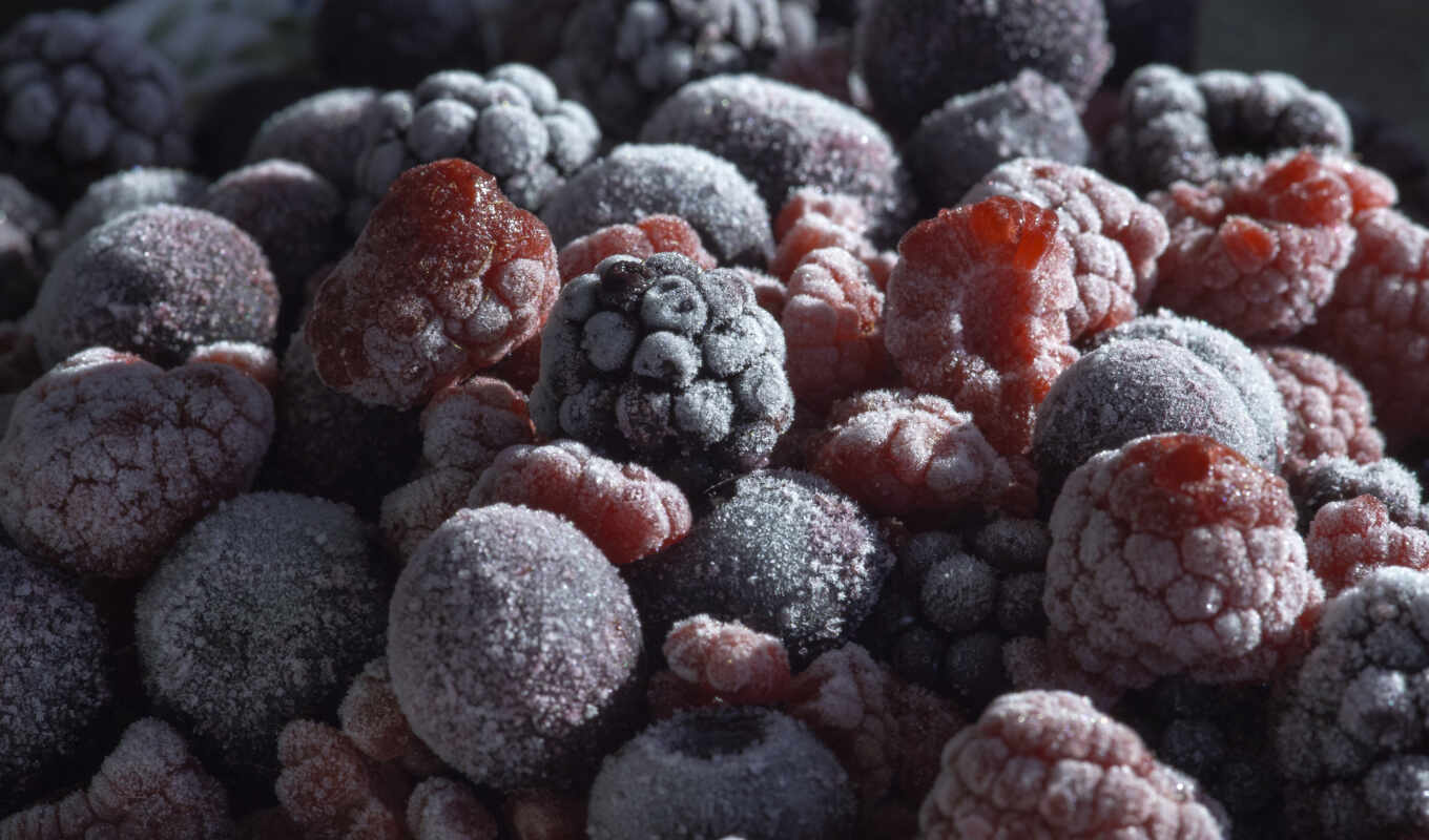 плод, малина, клубника, freeze, blackberry, natural, product, ягода, черника, pischat