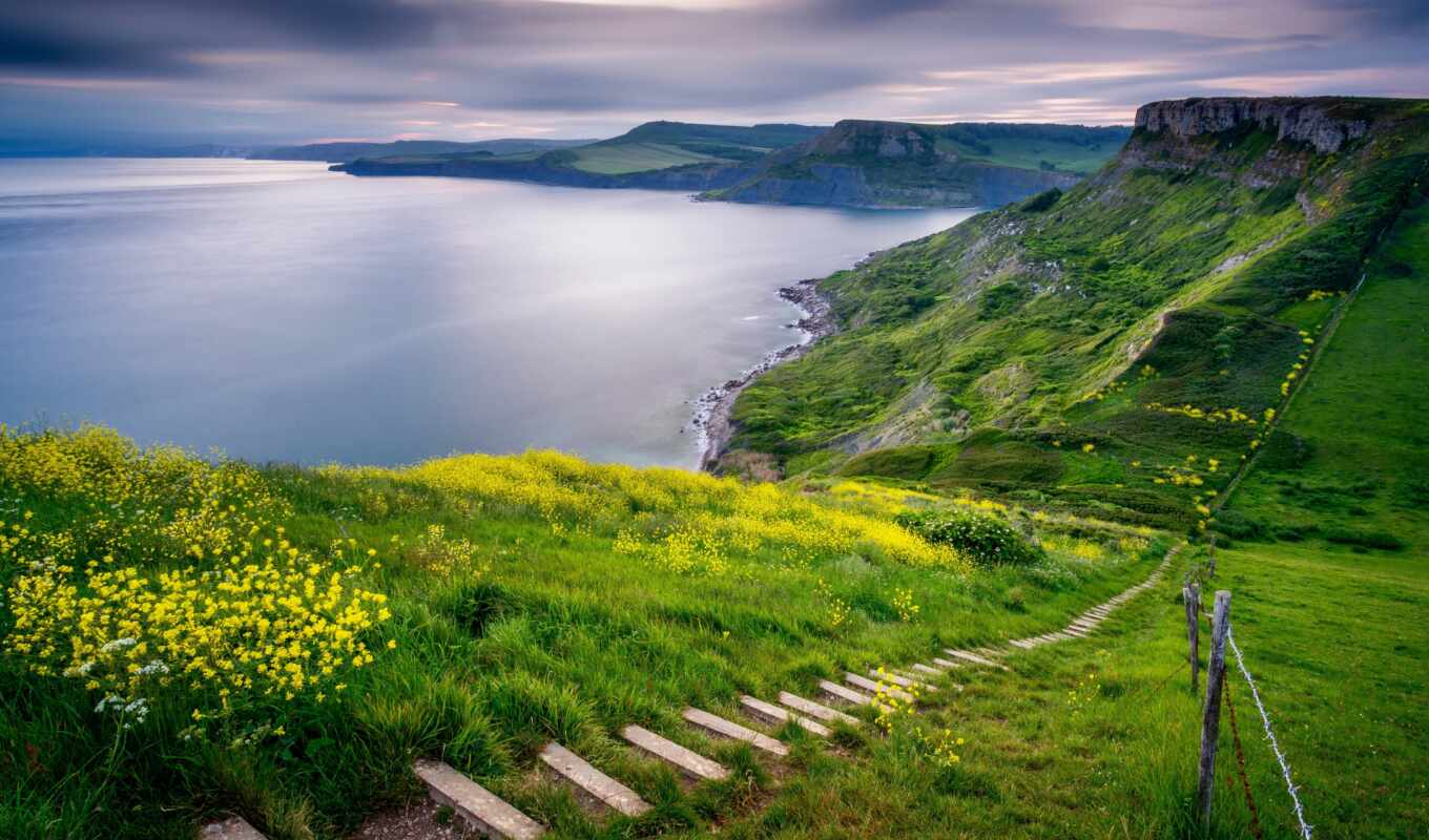 природа, цветы, фон, landscape, качество, hill, sur, step, coastline