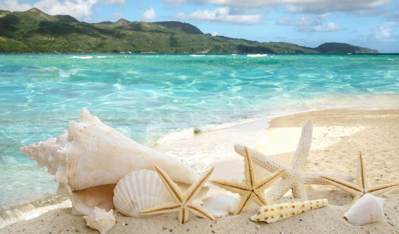 природа, water, пляж, море, берег, песок, ocean, tropical, vacation, clean