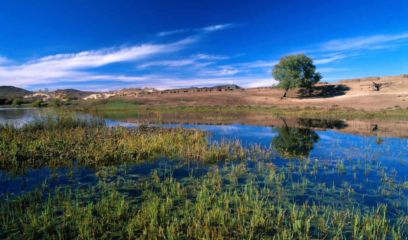 lake, shrubland