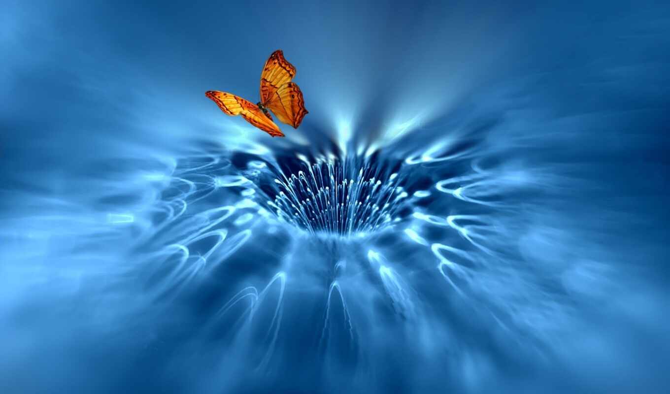 abstraction, butterfly