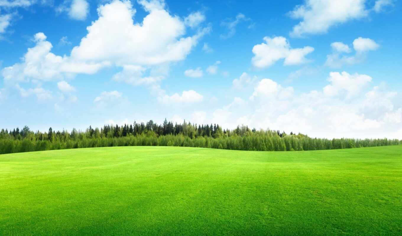 природа, небо, зелёный, трава, поле, landscape, красивый