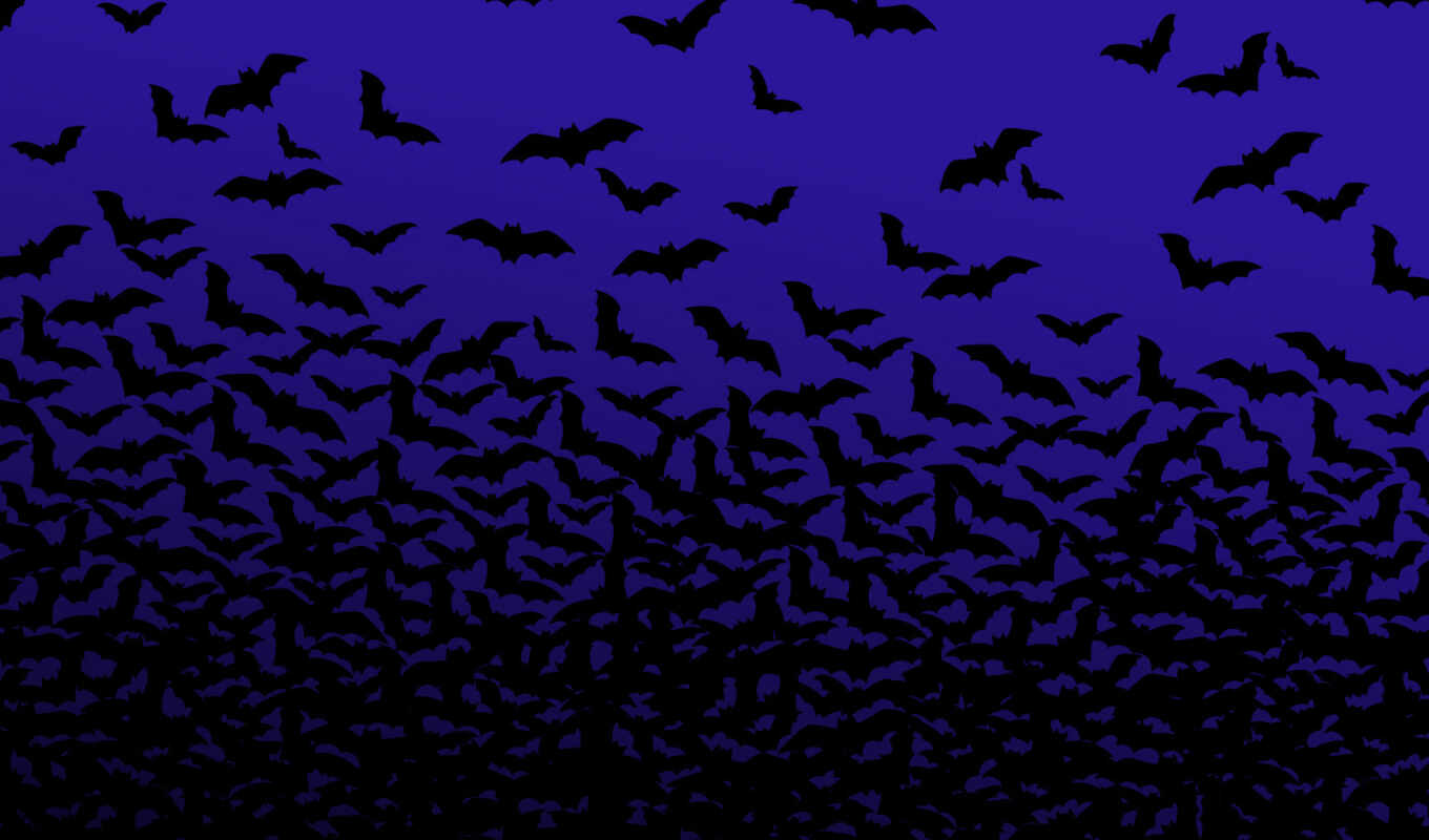 bat, mrwallpaper