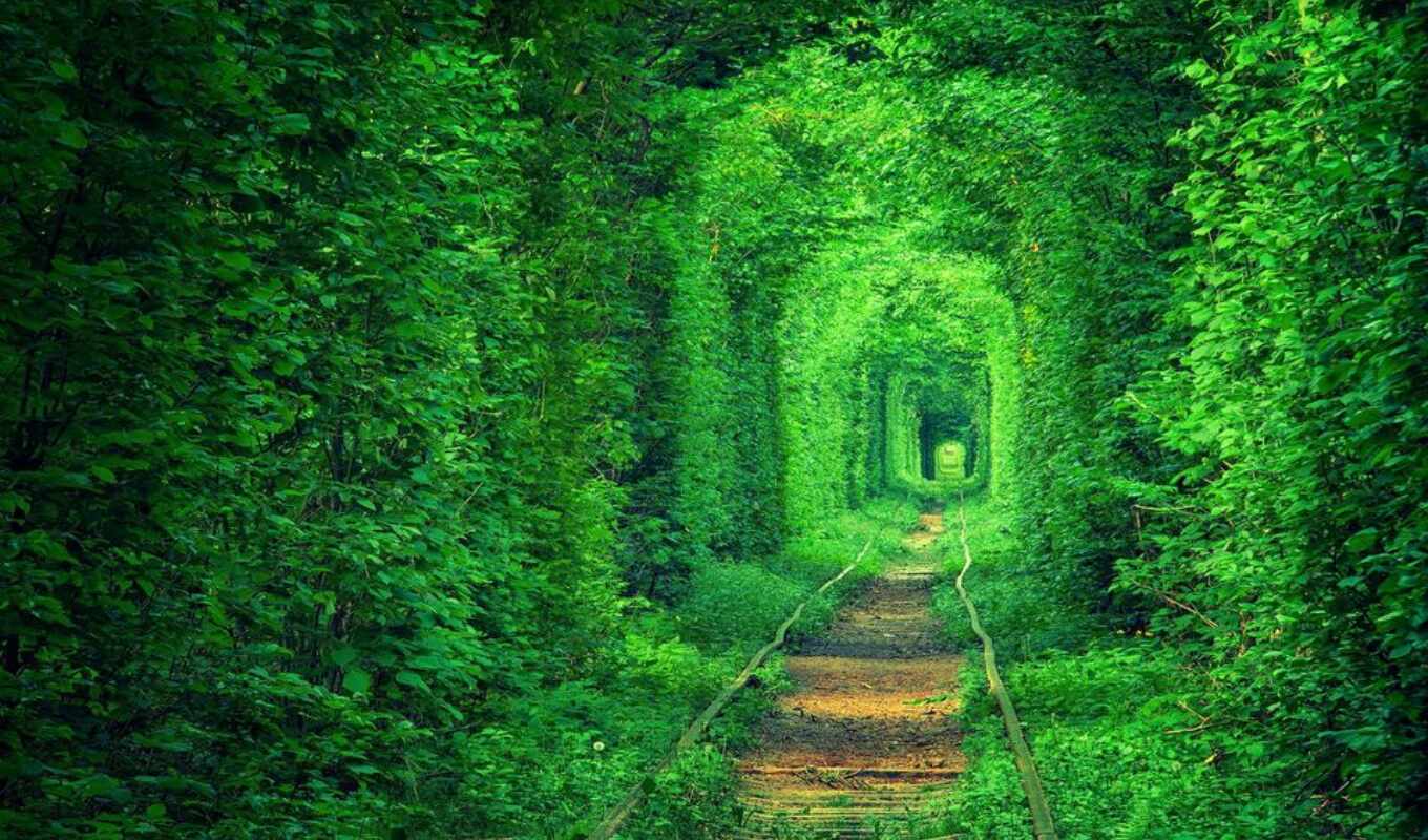 природа, страница, красивые, pic, природы, туннель, украины, любви, ukrainian