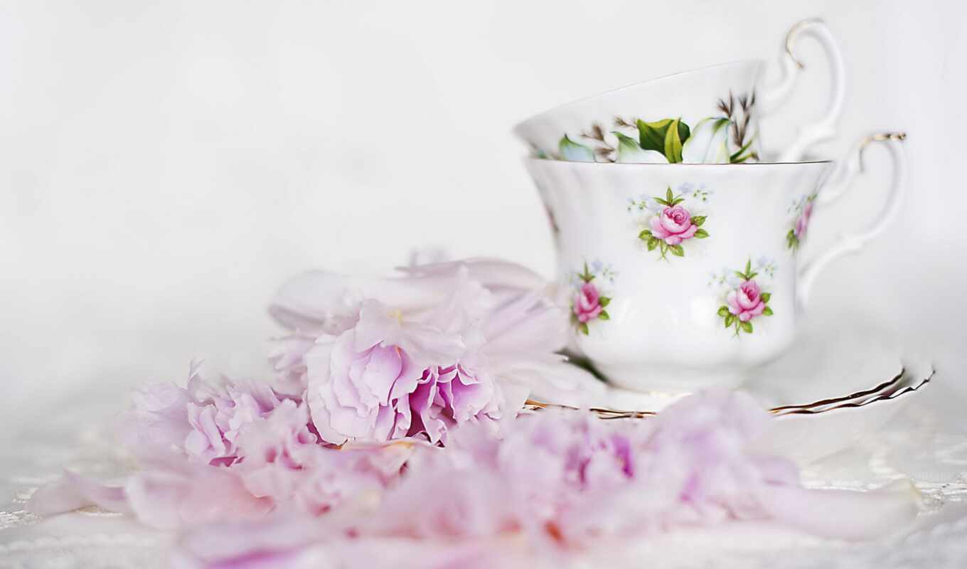 flowers, cup, dish