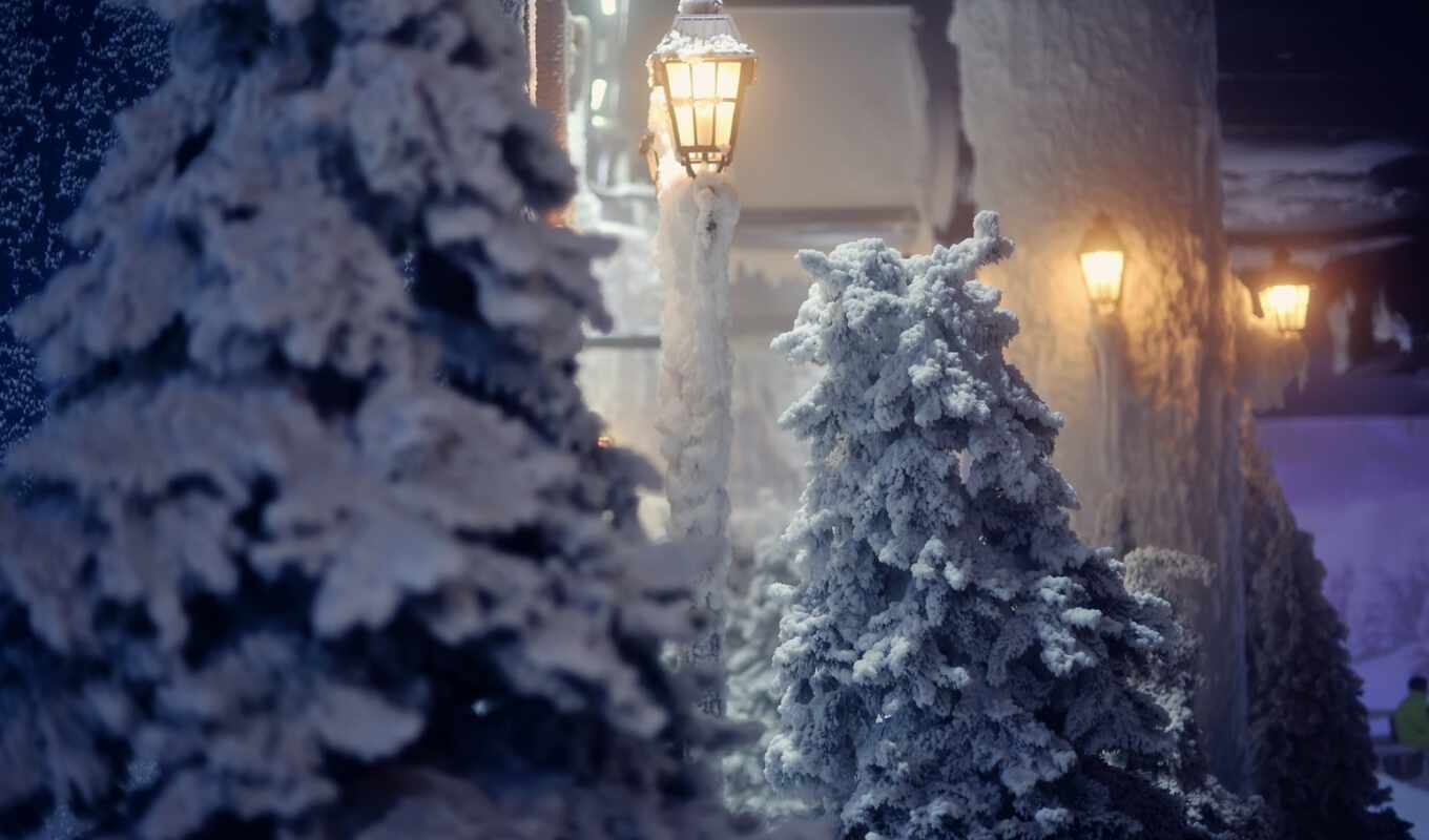 high, snow, winter, beauty, lamps