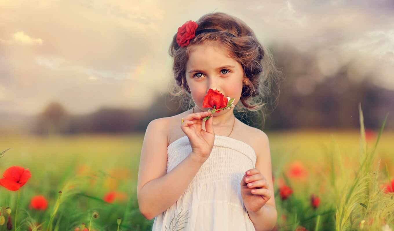 nature, flowers, girl, kid, poppies