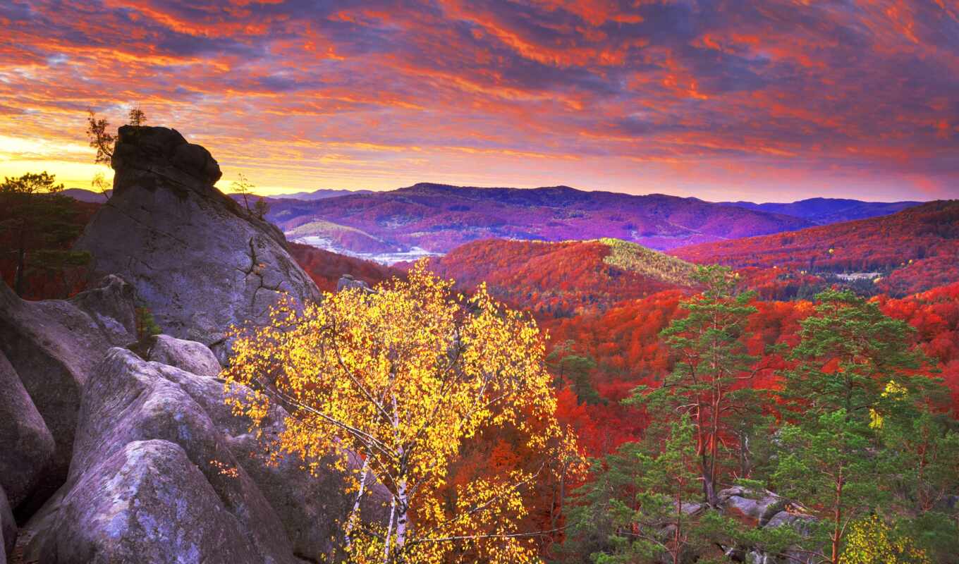 nature, sky, tree, forest, mountain, rock, red, autumn, cloud, carpathians