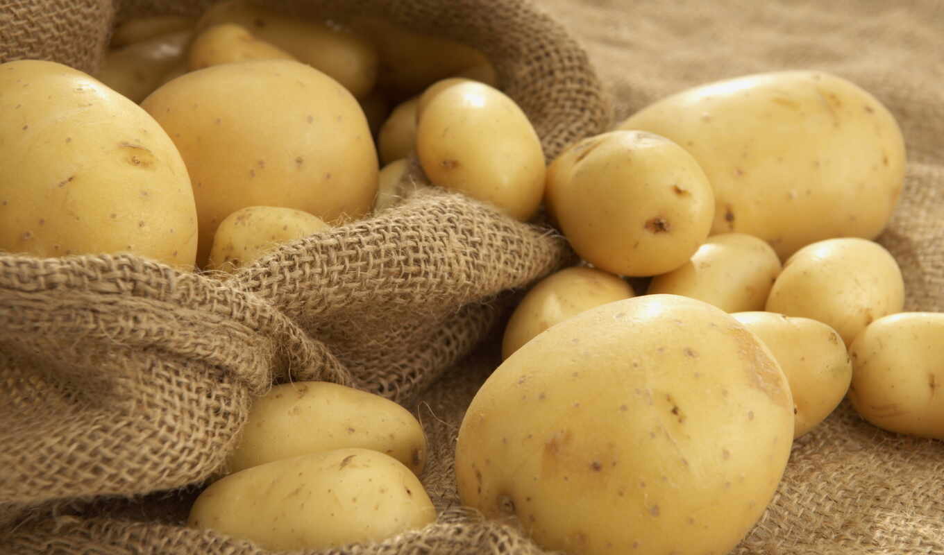 potato, recipe, understand, isportitsya