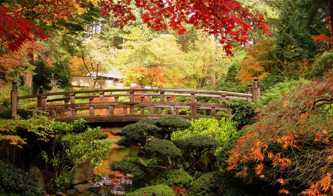 природа, картинка, изображение, japanese, usa, maple, сады, portland, мосты