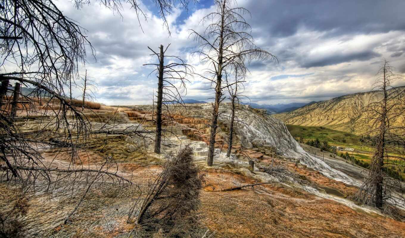 nature, sky, USA, dry, hdr, trees, yellowstone, parks, cloud, branches