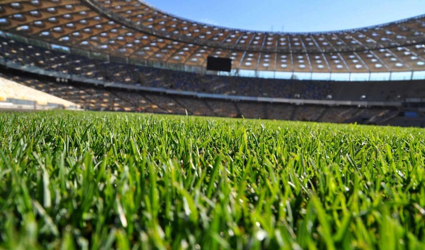 grass, field, soccer, fields, football