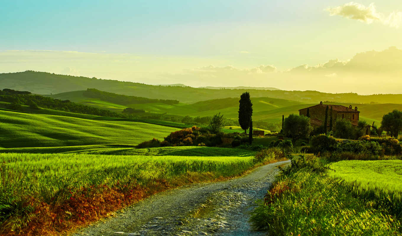 nature, house, road, field, trees, scenery, italy, tuscany