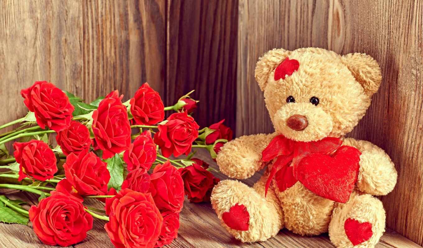 красные, розы, день, плюшевый, valentine, святого, букет, cvety, роз, мишка, доски
