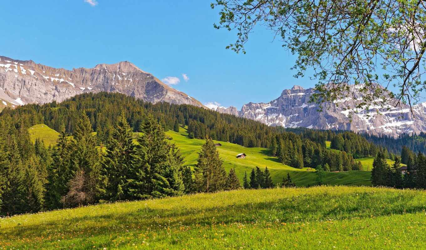 spring, swiss, the alps