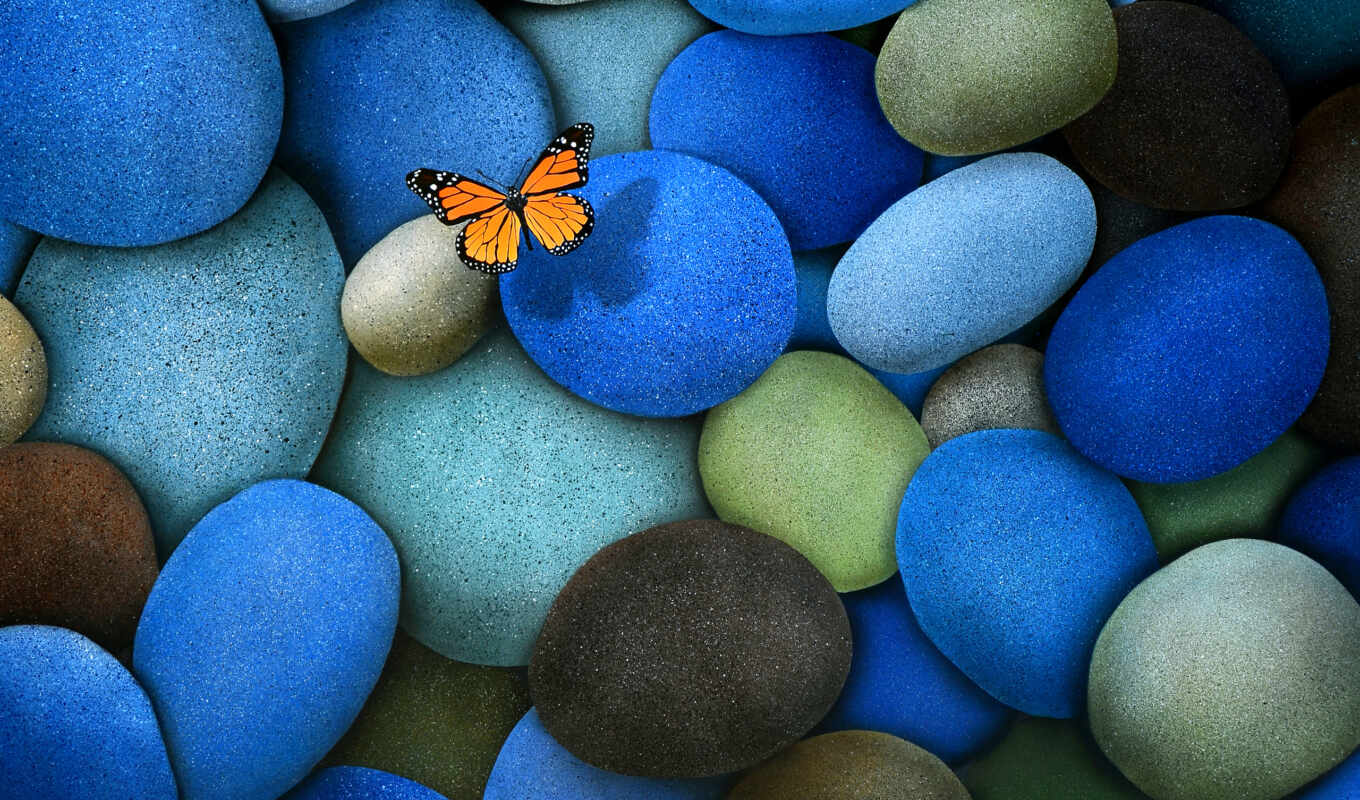 mobile, blue, фон, камень, water, бабочка, планшетный, галька, animal, color, explore