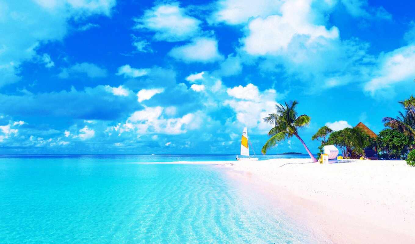 картинка, пляж, купить, palm, пляж, lonesome, islands, соломоновы