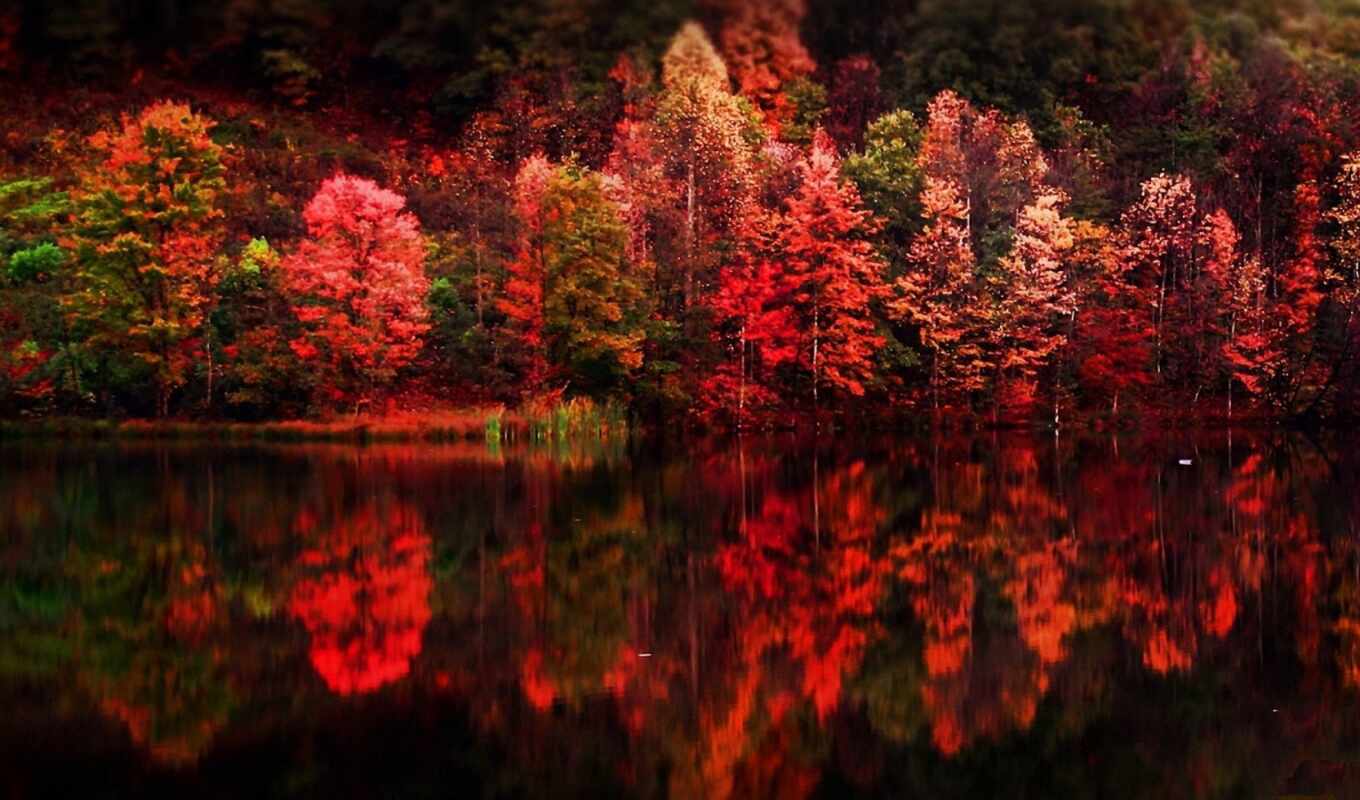 пейзажи -, осень, осени, яркие, краски, отражение, воде