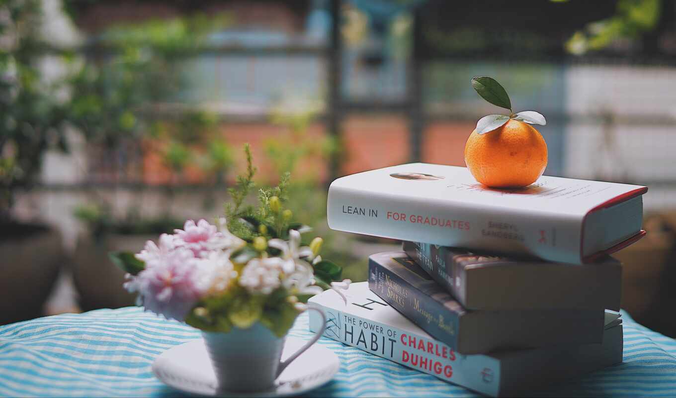 coffee, room, book, light, table, more, pro, mandarin, reading, still-life, tangerine