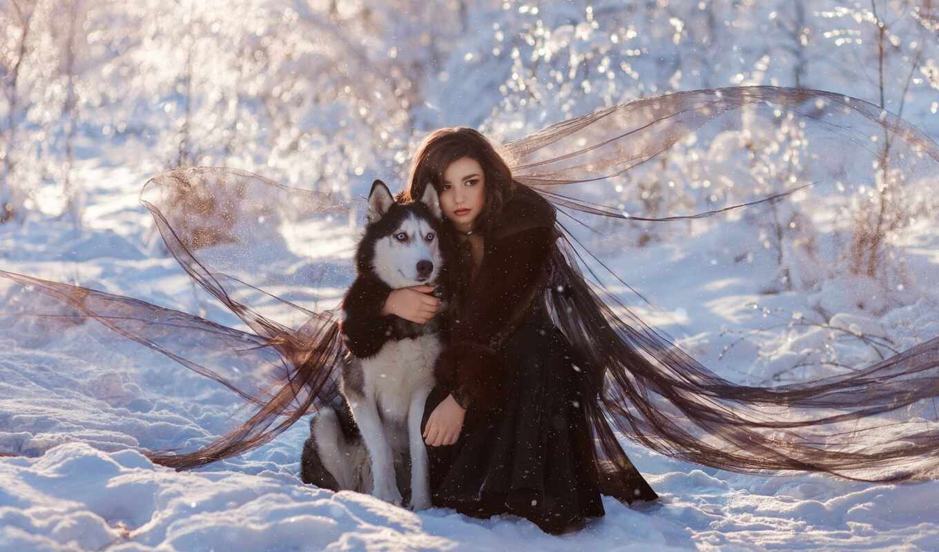 good, girl, snow, winter, dog, june, husky, narrow