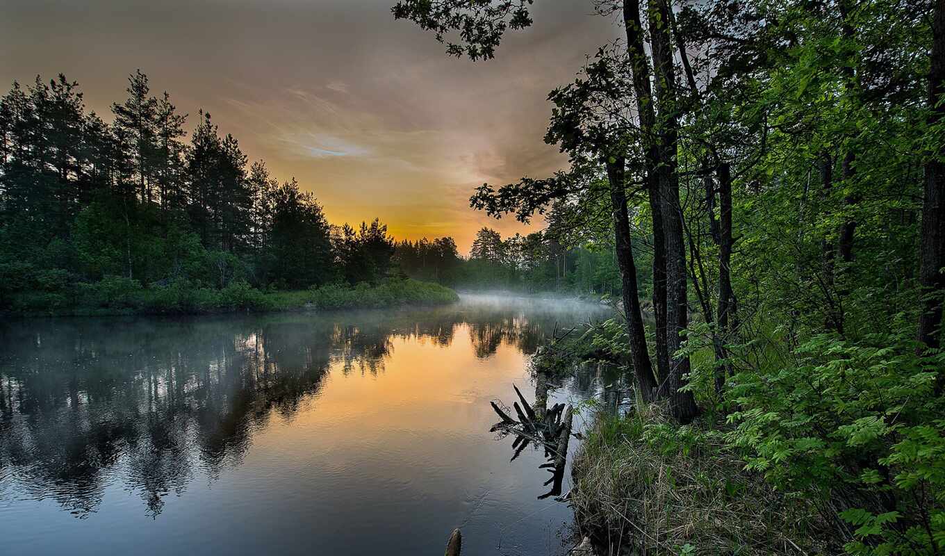 nature, sky, tree, forest, square, beautiful, river, fog, reflection, fore