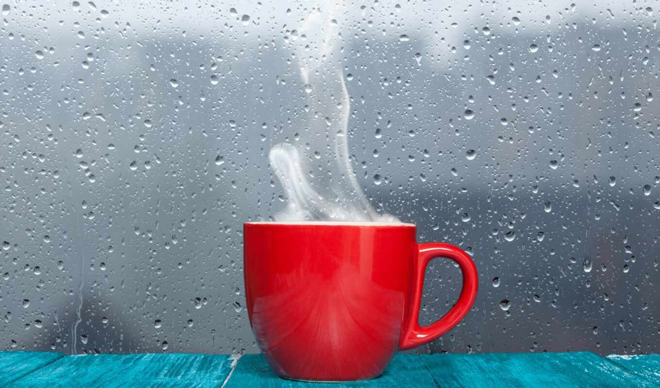 drop, дождь, red, water, cup, foto, отражение, imagen, banco, dium