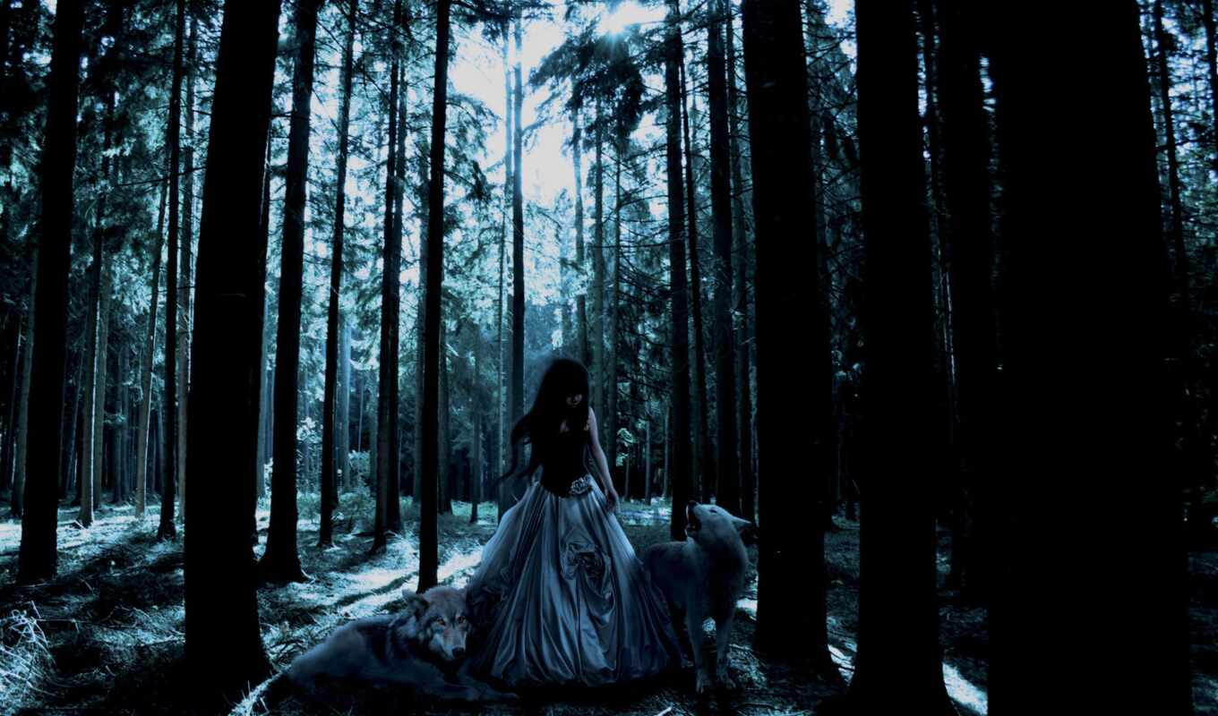 девушка, ночь, лес, волк, gothic, climb