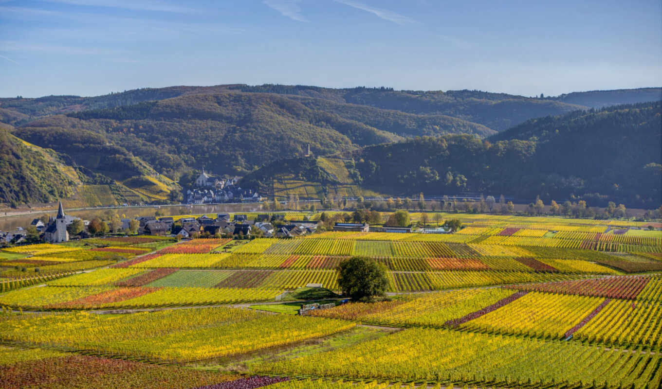 nature, at home, cities, cities, Germany, roads, field, Berlin, neuschwanstein, alexanderplatz