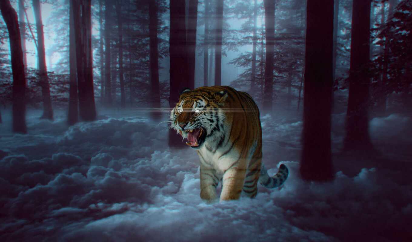лес, огонь, photoshop, amur, тигр, ухмылка, бенгальский