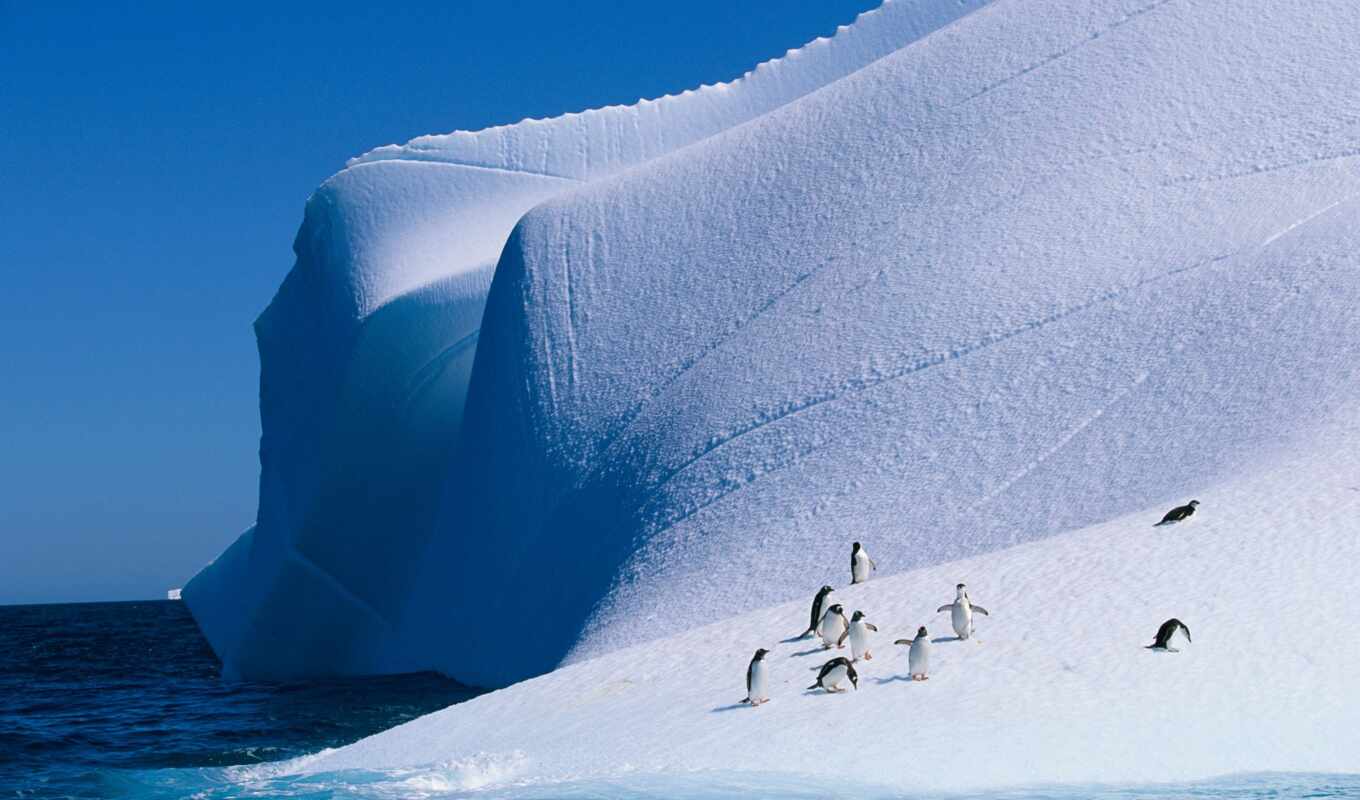 schnee, landschaft, antarktis