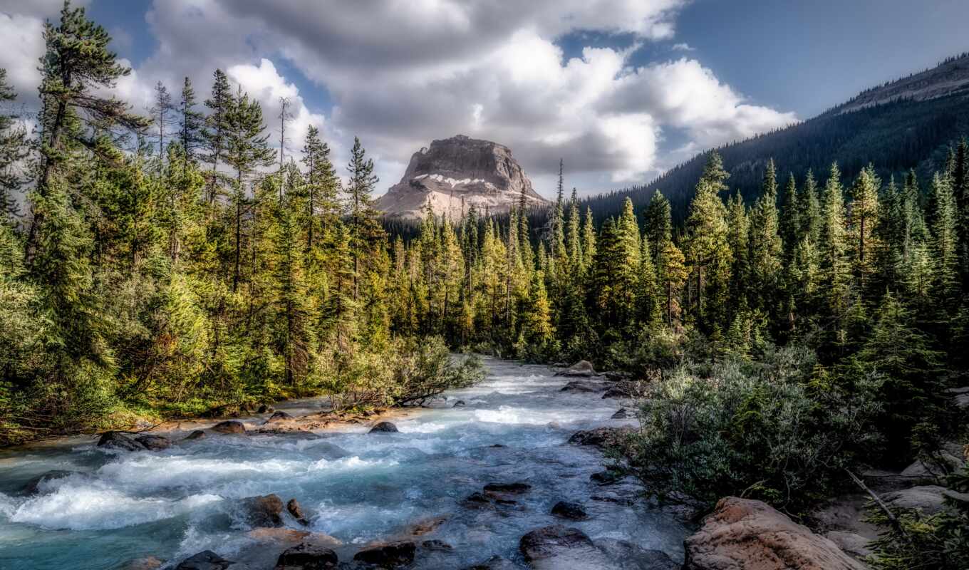 природа, гора, канада, line, река, national, scenic, larch, fore, vodyt