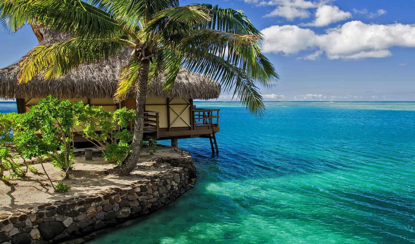 house, компьютер, фон, water, пляж, resort, palm, tropical, бунгало, maldive, pxfuelpage