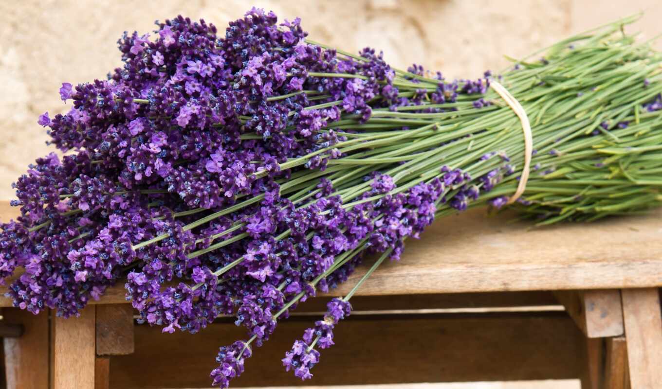 цветы, поле, букет, tape, lavender, скамейка