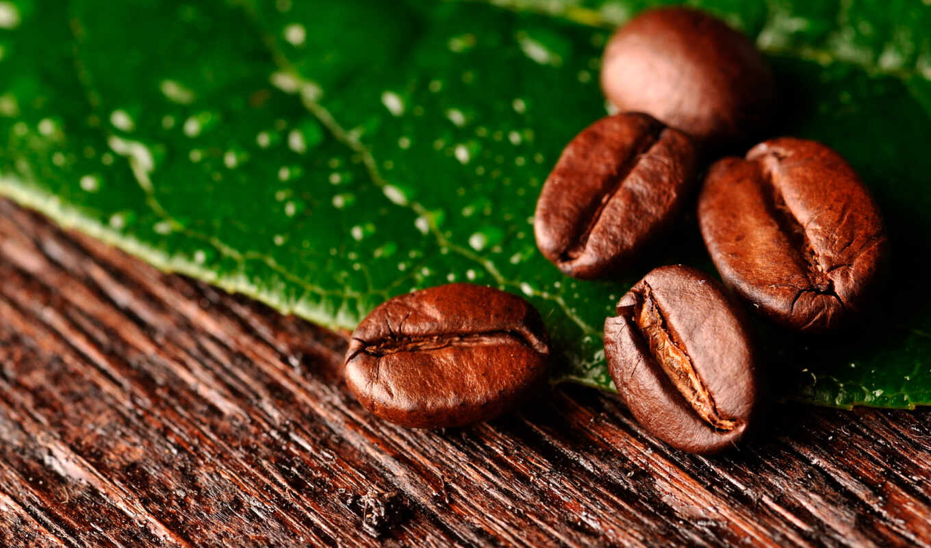 лист, coffee, макро, зерна, яркие, крупные