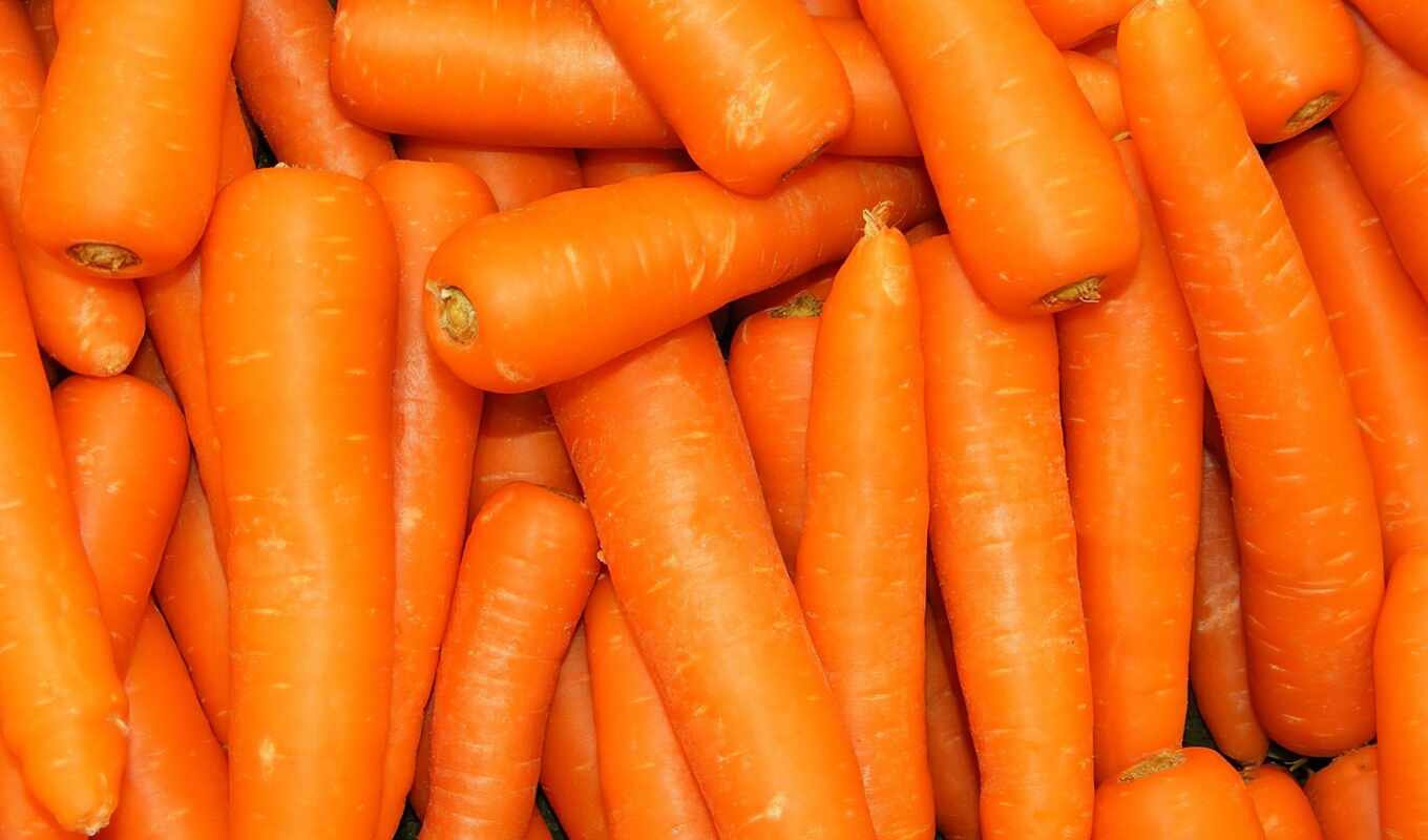 orange, vegetable, carrots