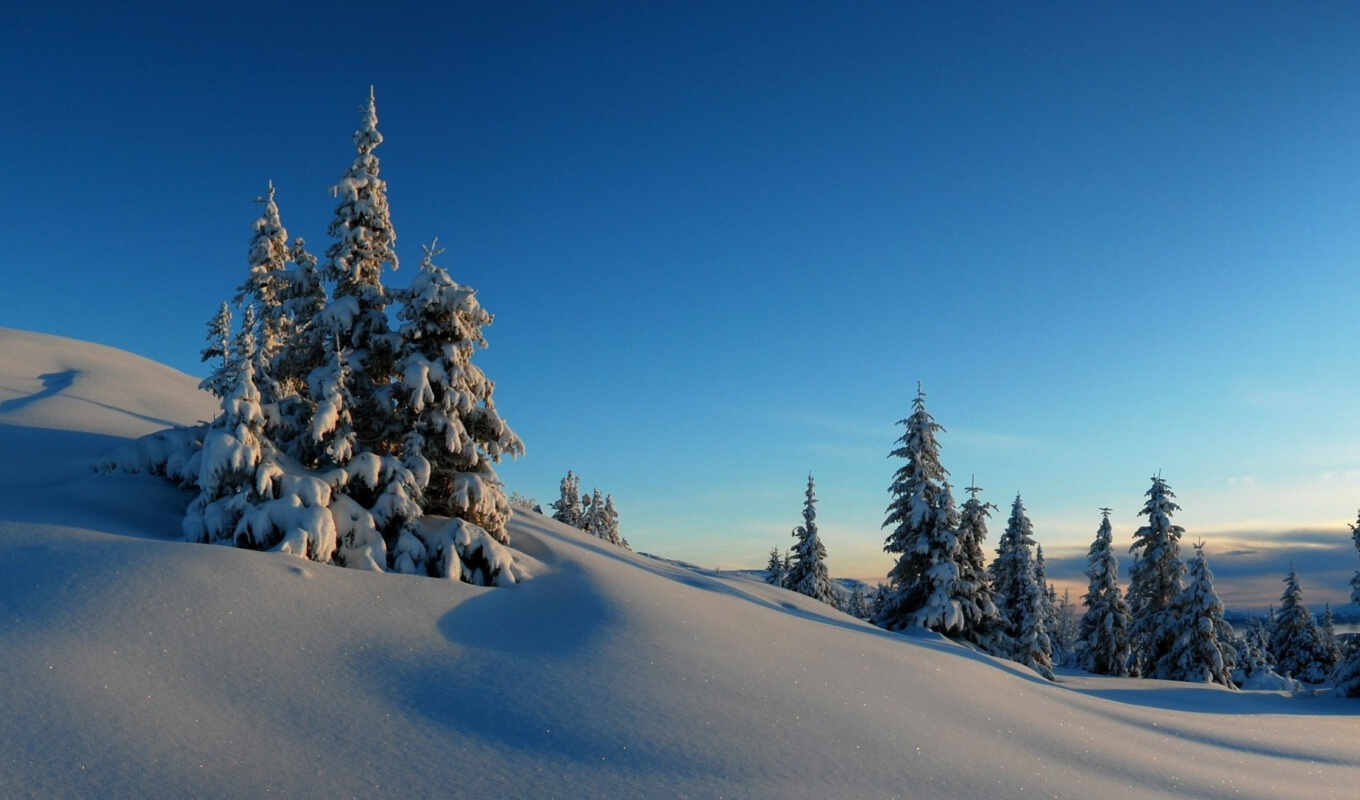 природа, небо, снег, winter, file, trees, hill, холмы, зимой