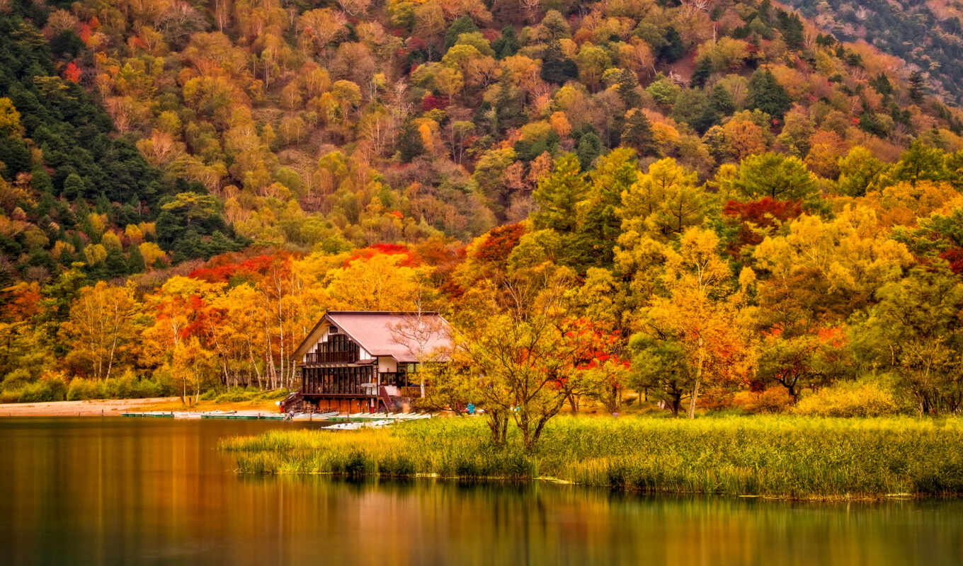 house, picture, at home, forest, cities, shore, autumn, lodge, the river, chemicals